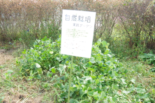 生活の木 薬香草園